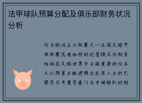 法甲球队预算分配及俱乐部财务状况分析